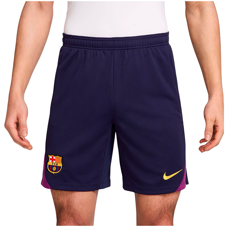 Шорты мужские Nike FCB M NK DF STRK SHORT KZ L Синий photo 1 Шорты мужские Nike FCB M NK DF STRK SHORT KZ L Синий photo 1