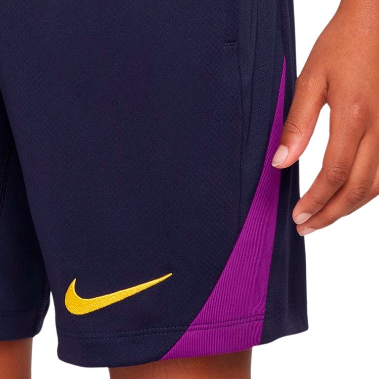Шорты Nike FCB Y NK DF STRK SHORT KZ L Синий Мужской photo 3