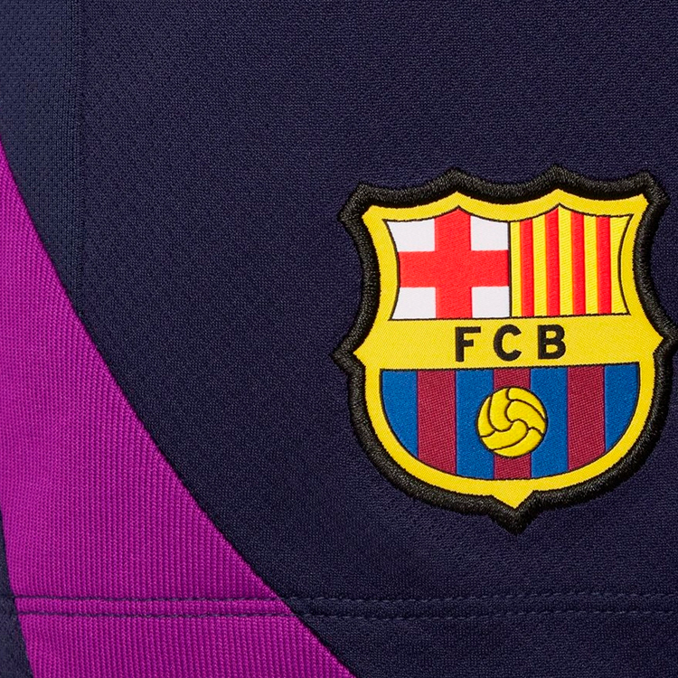 Шорты Nike FCB Y NK DF STRK SHORT KZ L Синий Мужской photo 4