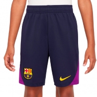 Шорты Nike FCB Y NK DF STRK SHORT KZ thumbnav