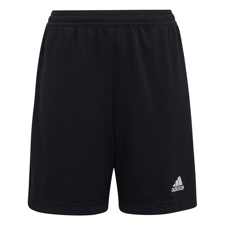 Sorti Adidas ENT22 TR SHOY photo 1