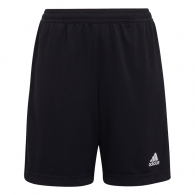 Sorti Adidas ENT22 TR SHOY thumbnav 1