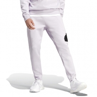 Pantaloni Adidas M FI BOS PT thumbnav 2