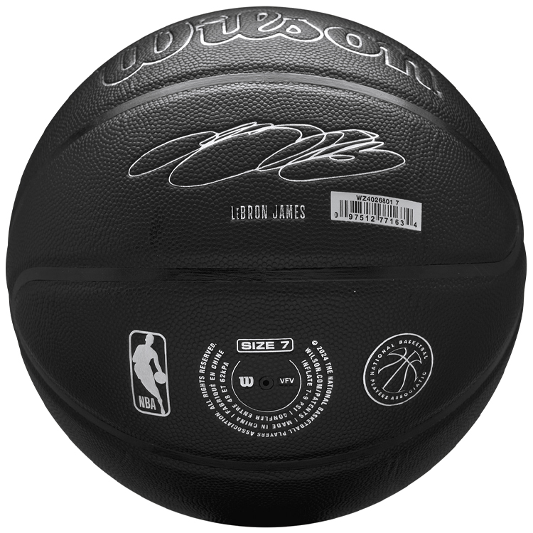 Minge basket Wilson NBA PLAYER NIGHTMODE BSKT LEBRON 7 photo 3