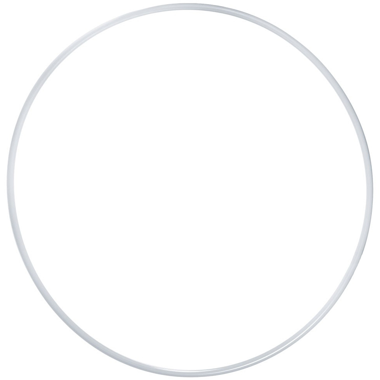 Cerc gimnastic Pastorelli Gymnastic hoop photo 
