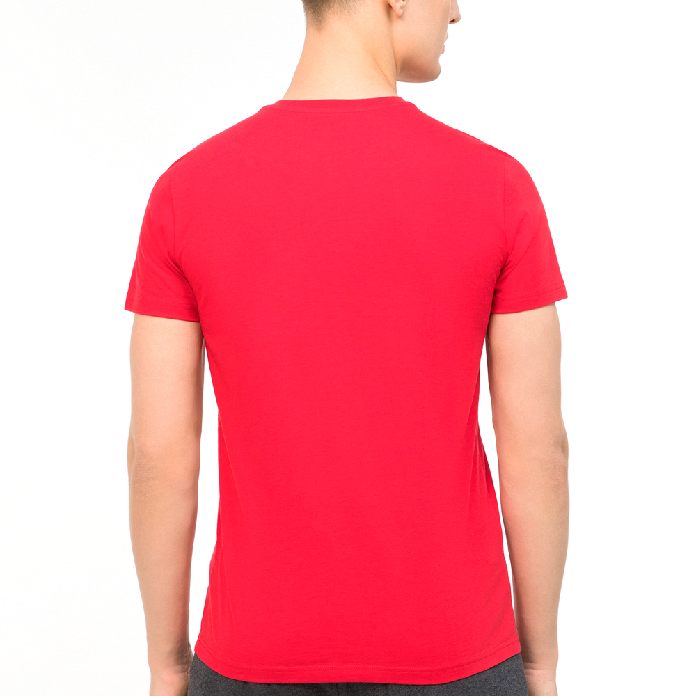 Tricou bărbătesc Demix Men T-shirt M/L Rosu photo 3