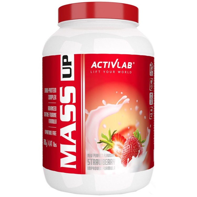 Гейнер Activ Lab Mass Up  photo 1
