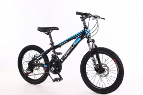 Bicicleta pentru copii Baikal BK20Blue thumbnav 2