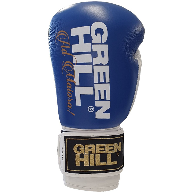 Manusi pentru box Green Hill LEGEND photo 2