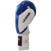 Manusi pentru box Green Hill LEGEND thumbnav 3