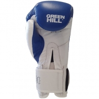 Manusi pentru box Green Hill LEGEND thumbnav 4